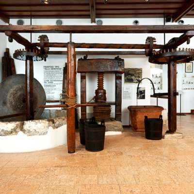 LA MOSTRA DELL'OLIO D'OLIVA